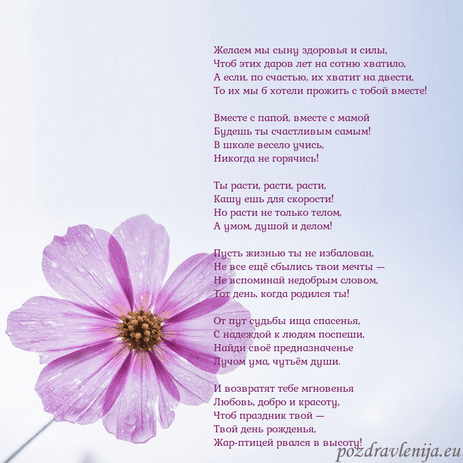 Электронная открытка с фиолетовым цветком