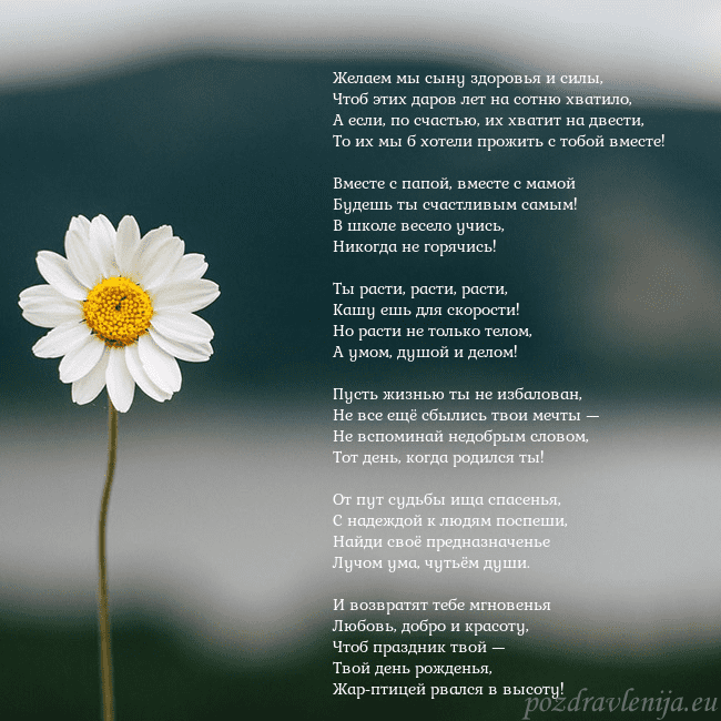 Электронная открытка с ромашкой