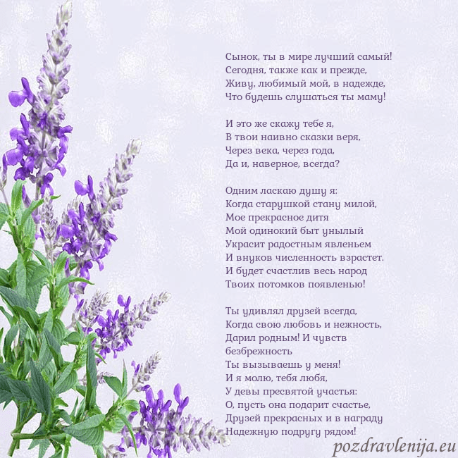 Открытка с люпинами