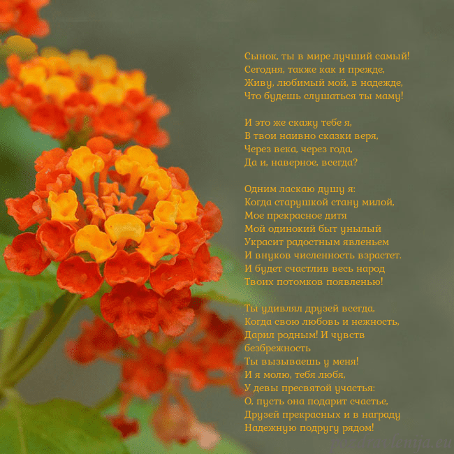 Открытка с оранжевыми цветами