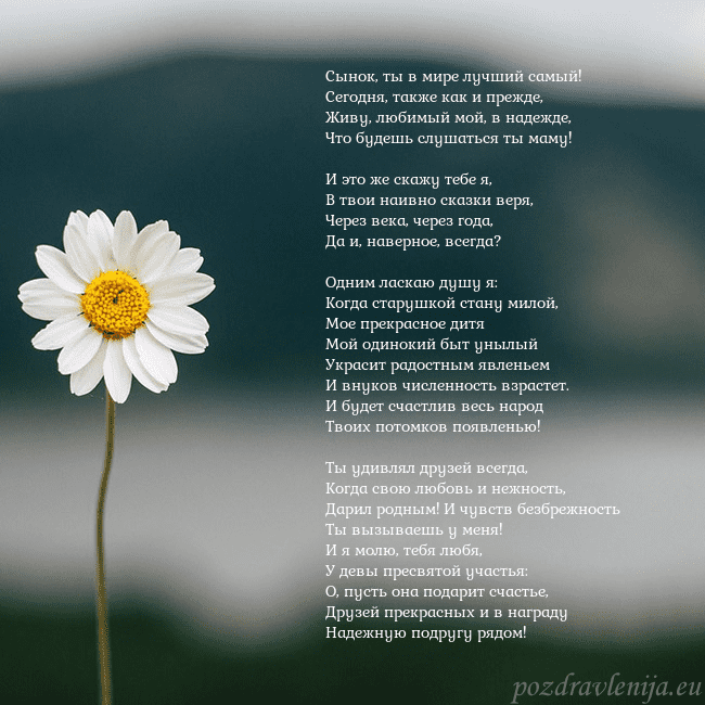 Электронная открытка с ромашкой