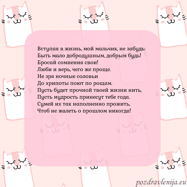 Розовая открытка с забавными кошками