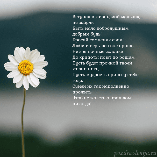 Электронная открытка с ромашкой