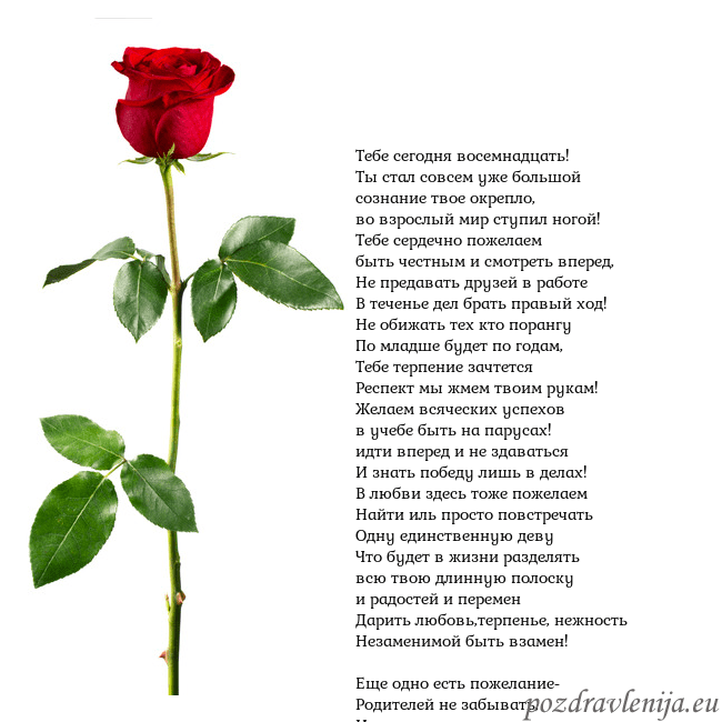 Открытка с красной розой Тебе сегодня восемнадцать!
Ты стал совсем уже боль Открытка с красной розой