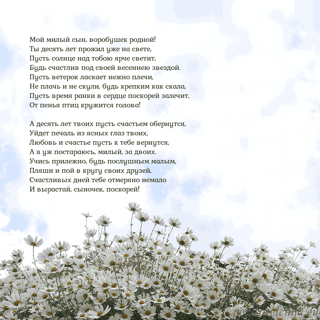Открытка с ромашками Мой милый сын, воробушек родной!
Ты десять лет про Открытка с ромашками