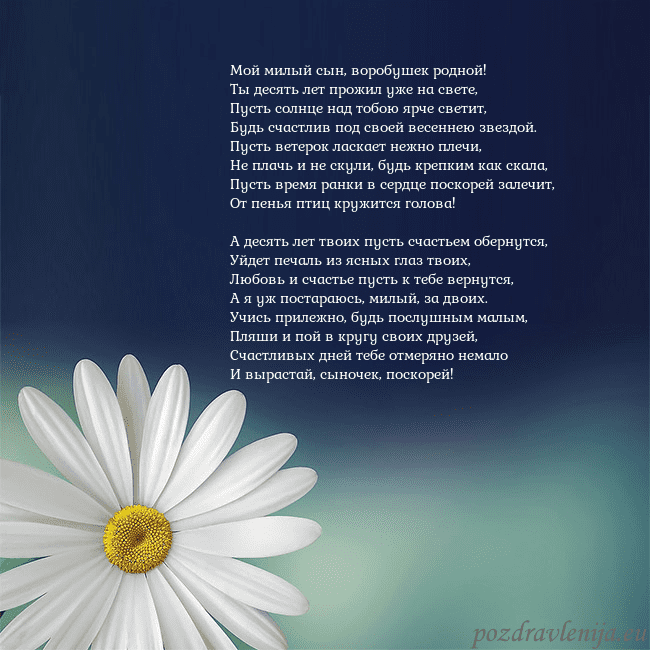 Открытка с большой ромашкой Мой милый сын, воробушек родной!
Ты десять лет про Открытка с большой ромашкой