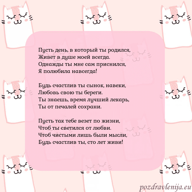 Розовая открытка с забавными кошками