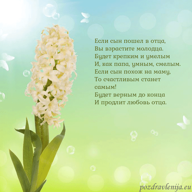 Открытка с гиацинтом