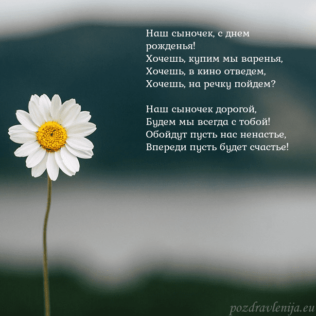 Электронная открытка с ромашкой