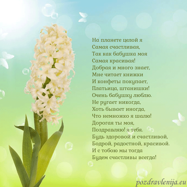 Открытка с гиацинтом