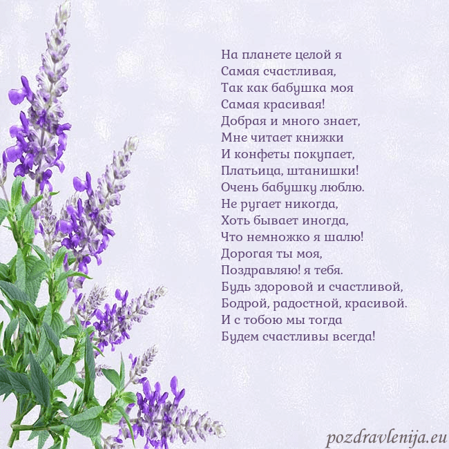 Открытка с люпинами