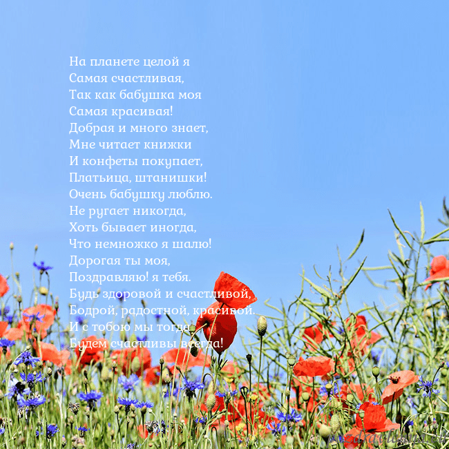 Открытка с маками