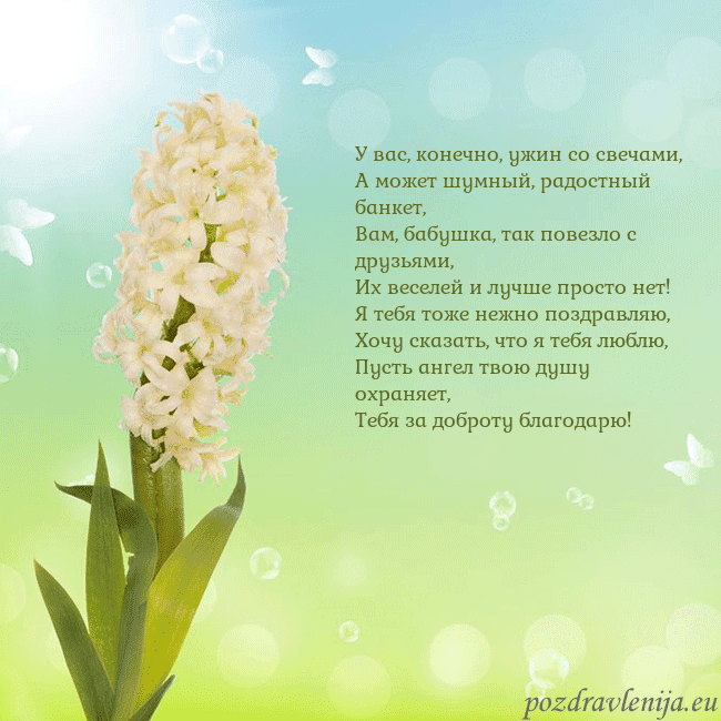 Открытка с гиацинтом