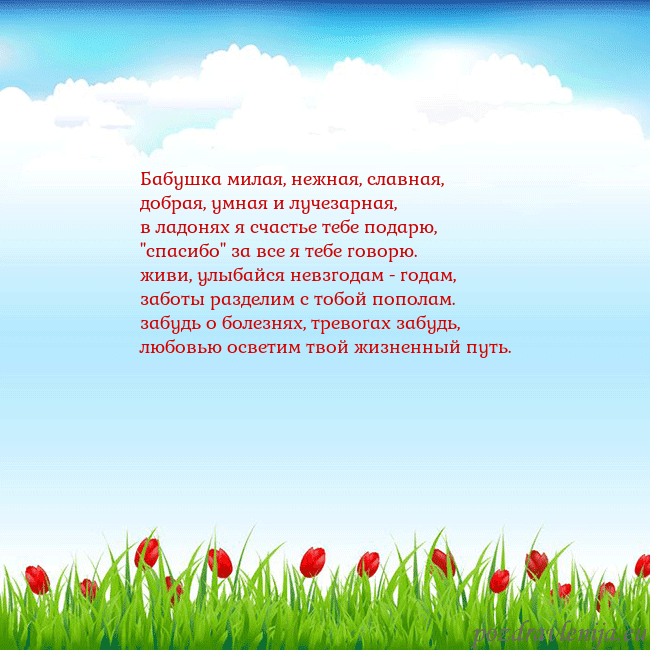 Открытка с тюльпанами