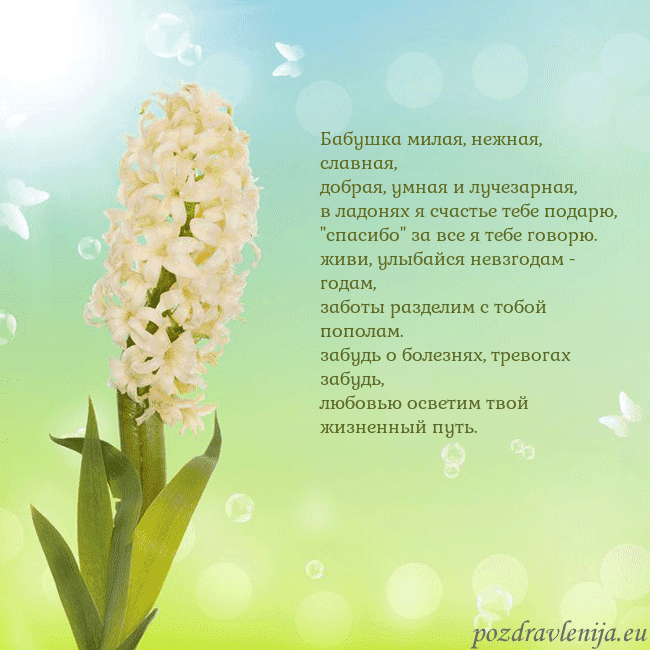 Открытка с гиацинтом