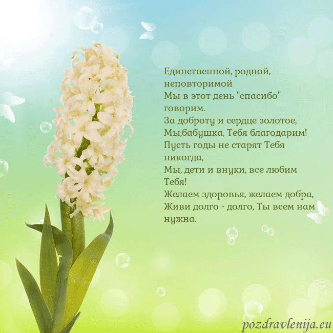 Открытка с гиацинтом