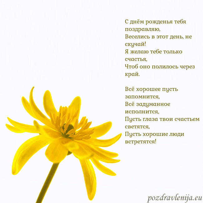 Открытка с желтым цветком