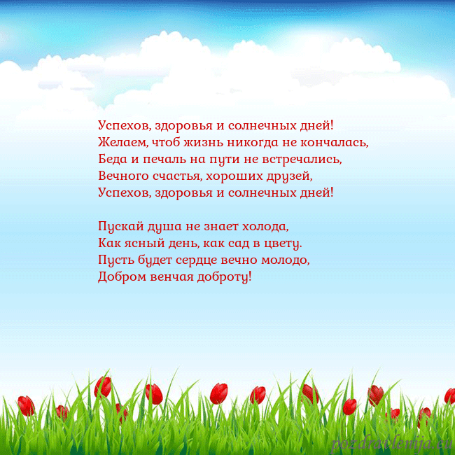 Открытка с тюльпанами