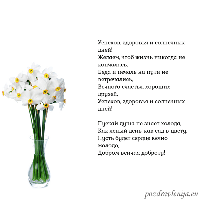 Открытка с нарциссами