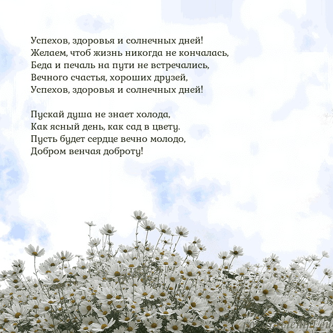 Открытка с ромашками