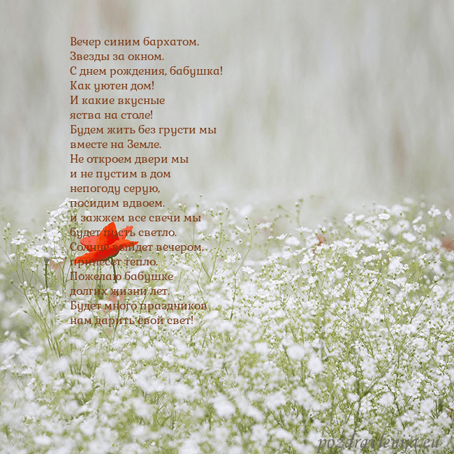 Электронная открытка с белыми цветами