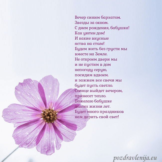 Электронная открытка с фиолетовым цветком