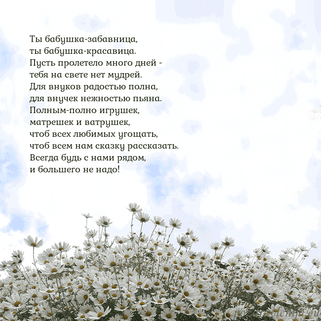 Открытка с ромашками