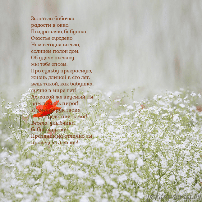 Электронная открытка с белыми цветами