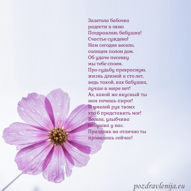 Электронная открытка с фиолетовым цветком