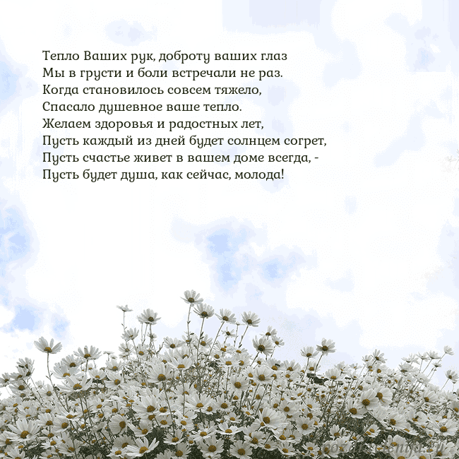 Открытка с ромашками