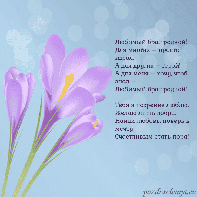 Открытка с крокусом