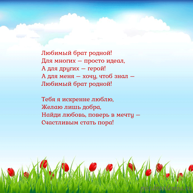 Открытка с тюльпанами