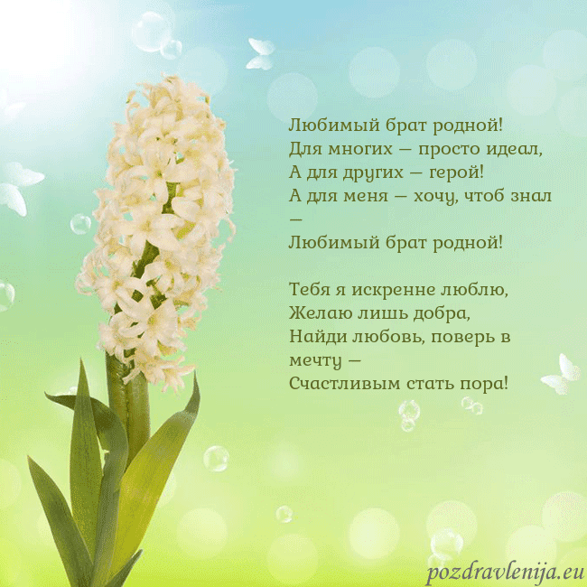 Открытка с гиацинтом