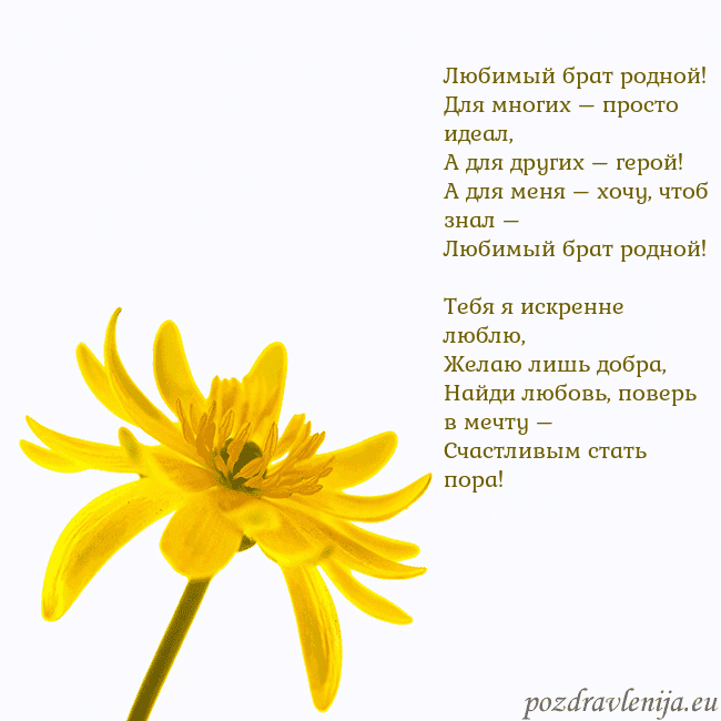 Открытка с желтым цветком