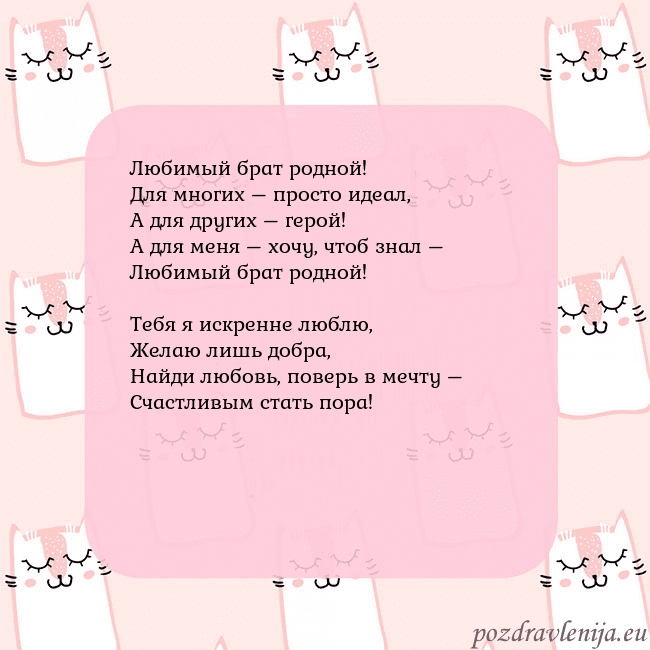 Розовая открытка с забавными кошками