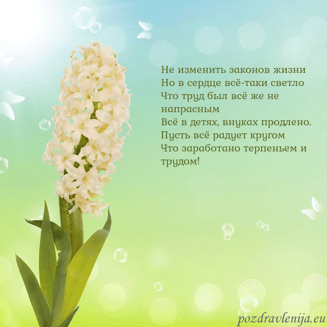 Открытка с гиацинтом