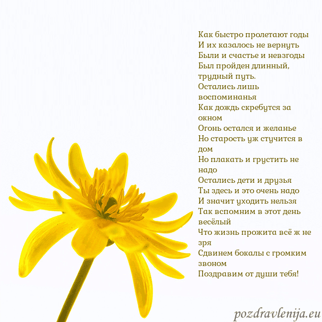 Открытка с желтым цветком