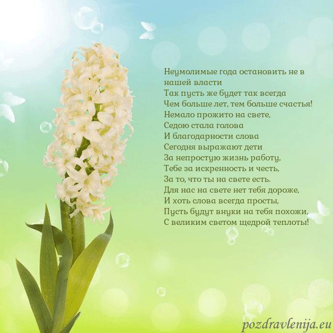 Открытка с гиацинтом