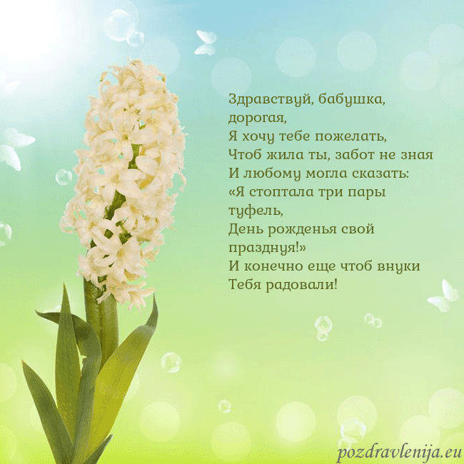 Открытка с гиацинтом