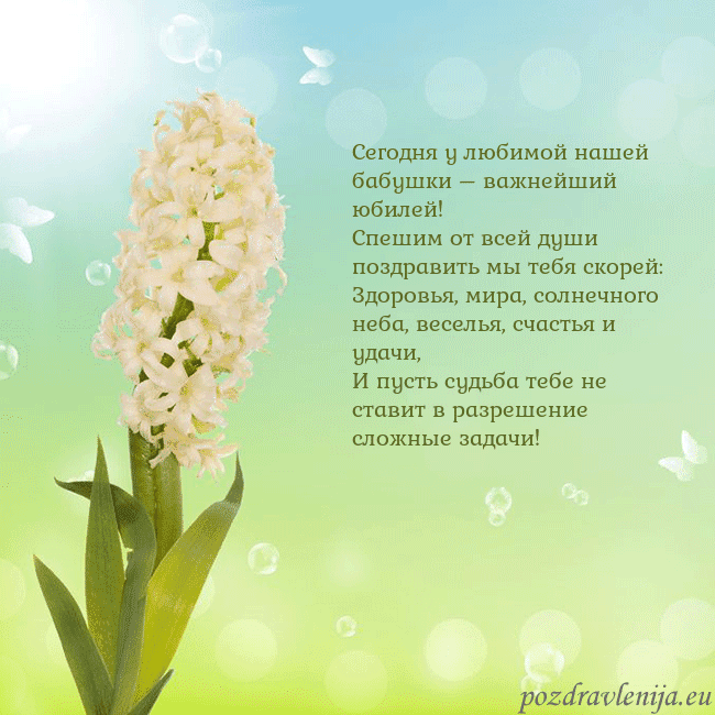 Открытка с гиацинтом