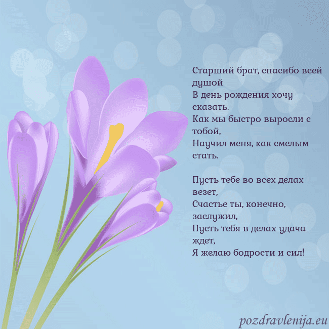 Открытка с крокусом