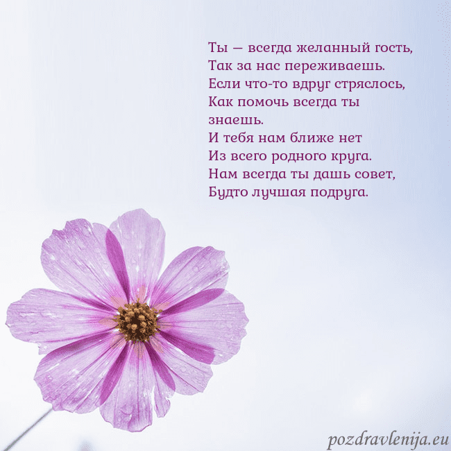 Электронная открытка с фиолетовым цветком