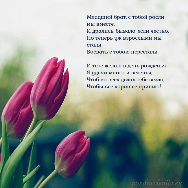 Открытка с тремя красными тюльпанами