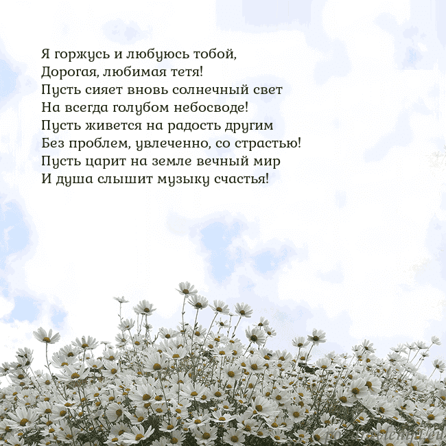 Открытка с ромашками