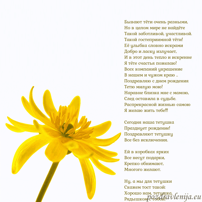 Открытка с желтым цветком Бывают тёти очень разными,
Но в целом мире не найд Открытка с желтым цветком