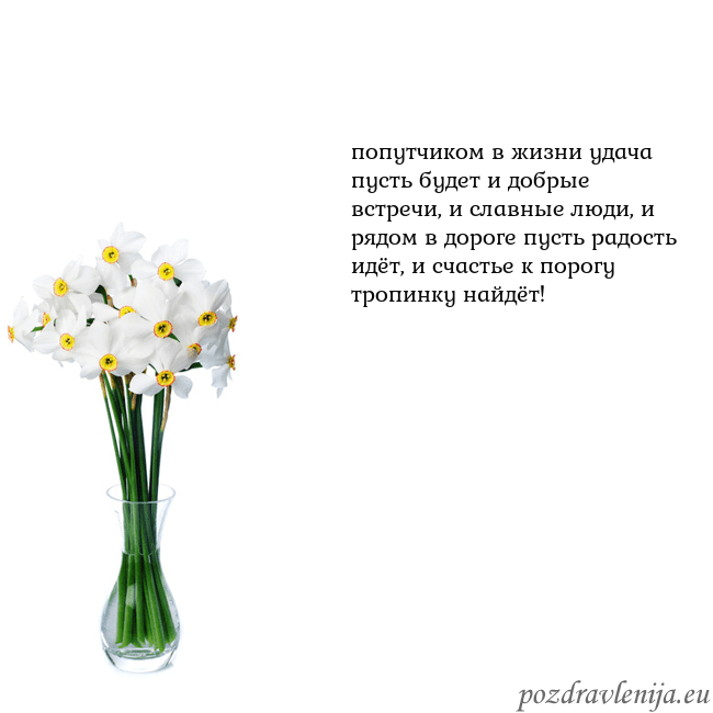 Открытка с нарциссами