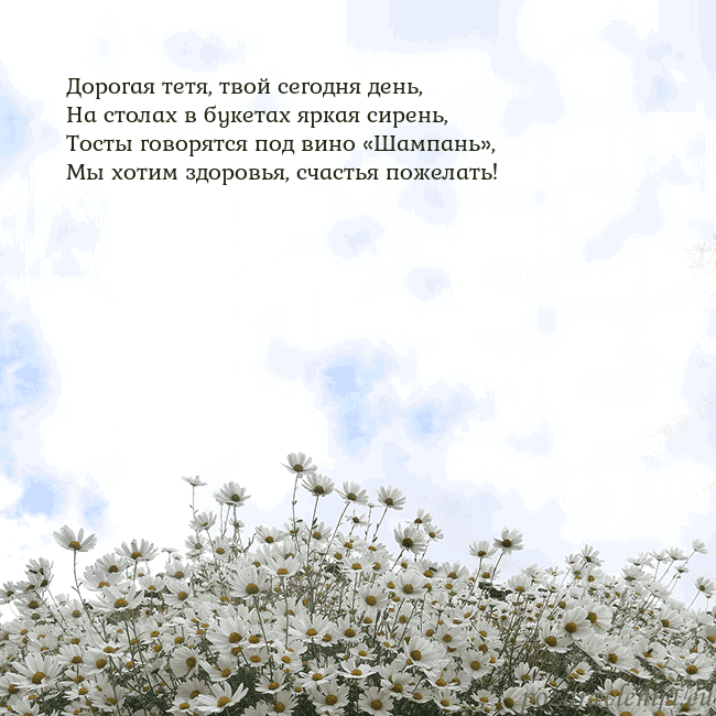 Открытка с ромашками