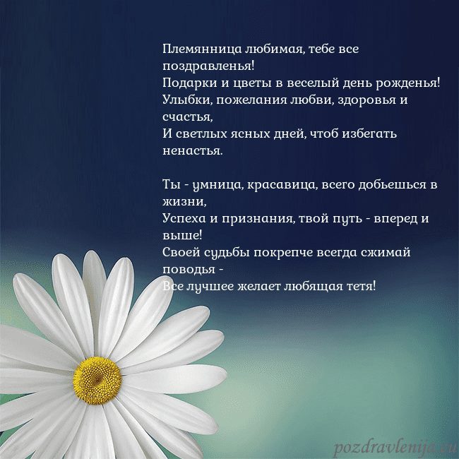 Открытка с большой ромашкой