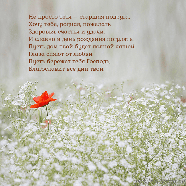 Электронная открытка с белыми цветами