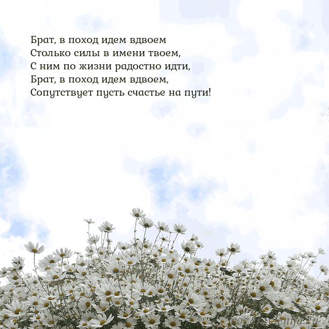 Открытка с ромашками